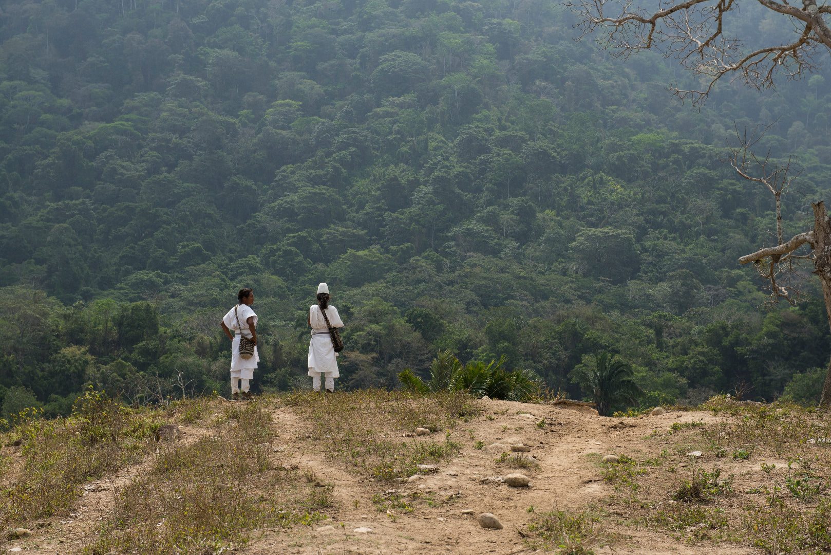 Arhuacos con Cacao Hunters en la Sierra Nevada de Santa Marta
