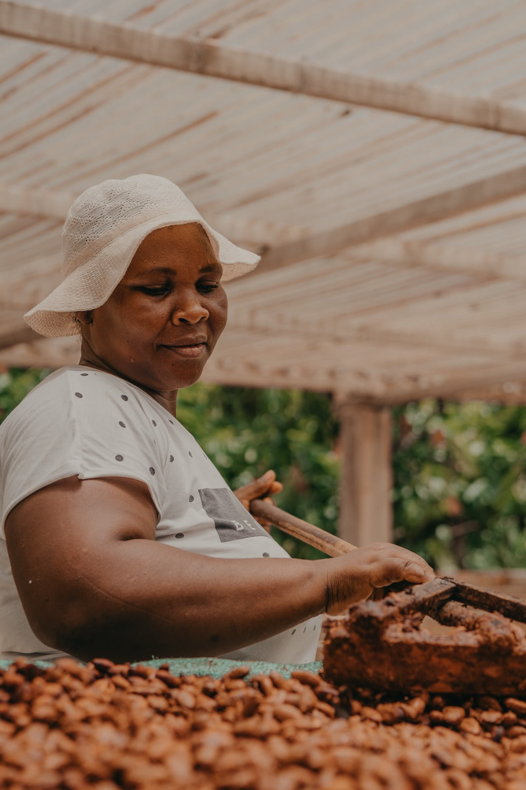 Cacao Hunters